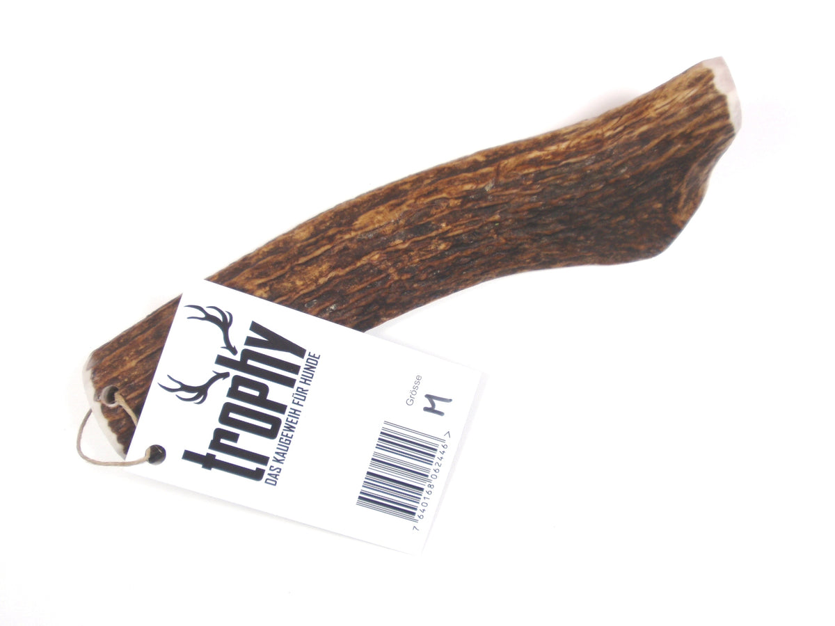 Trophy Kauknochen aus Rothirschgeweih, Grösse M – Ansicht 1