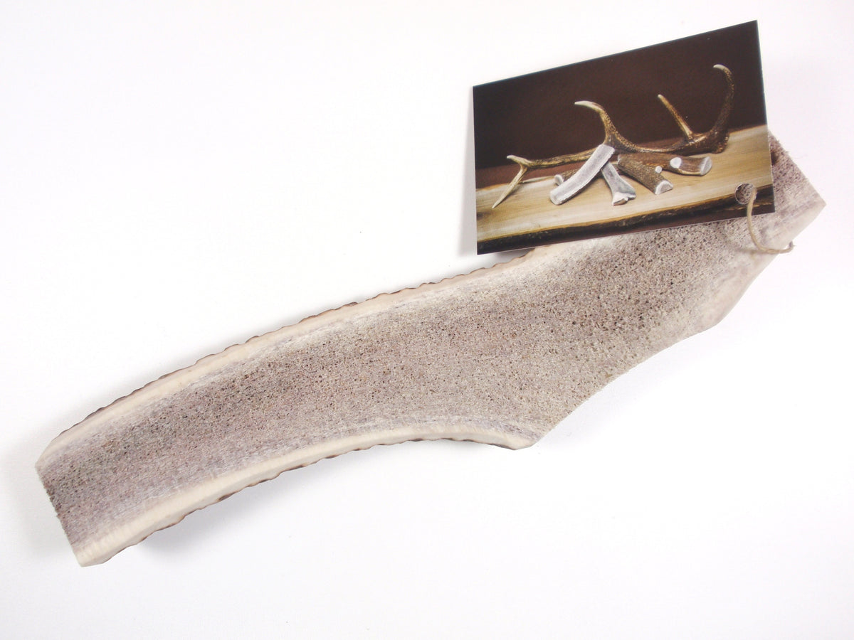Trophy Kauknochen aus Rothirschgeweih, Grösse XL – Ansicht 2