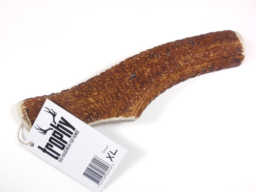 Trophy Kauknochen aus Rothirschgeweih, Grösse XL – Ansicht 1