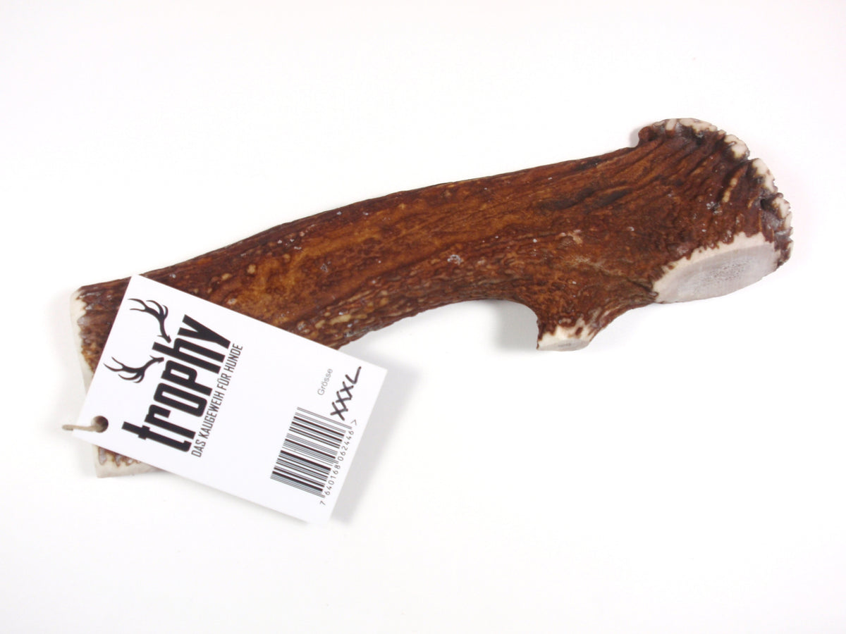 Trophy Kauknochen aus Rothirschgeweih, Grösse XXXL – Ansicht 1